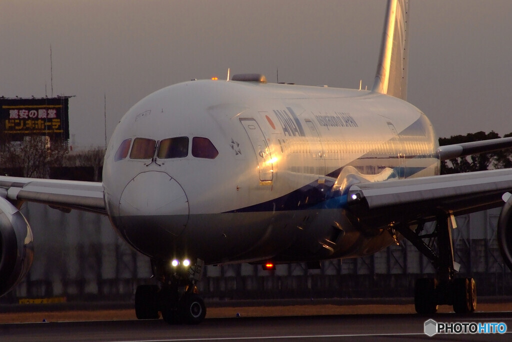 静寂の光✈787Dreamliner