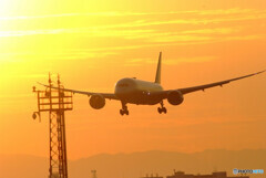 会いにいこう✈翼 Boeing787-8