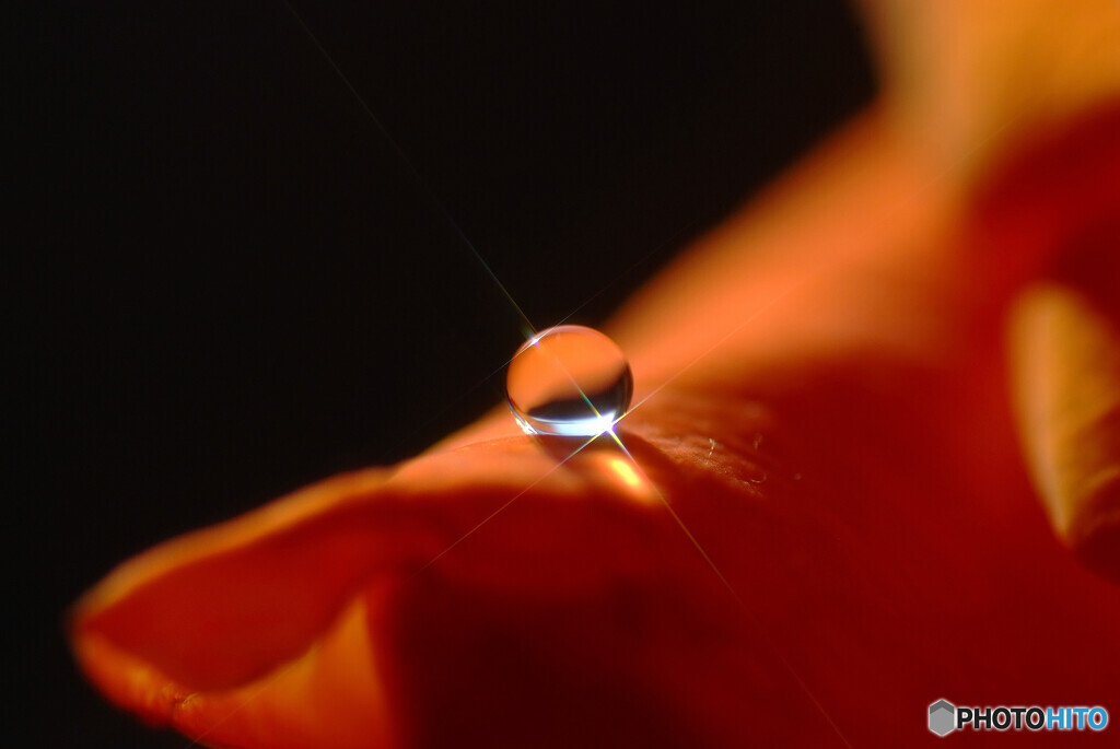 Cross of Hearts・光