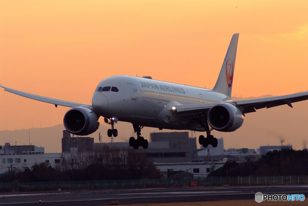Natural colors✈JAL Wing