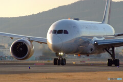 Afternoon of brillianceⅡ✈JAL 787-8