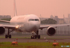 癒しの時間Ⅱ✈2020夏