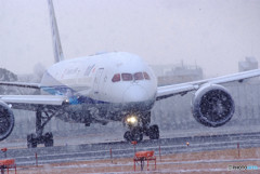 Snowstorm・787