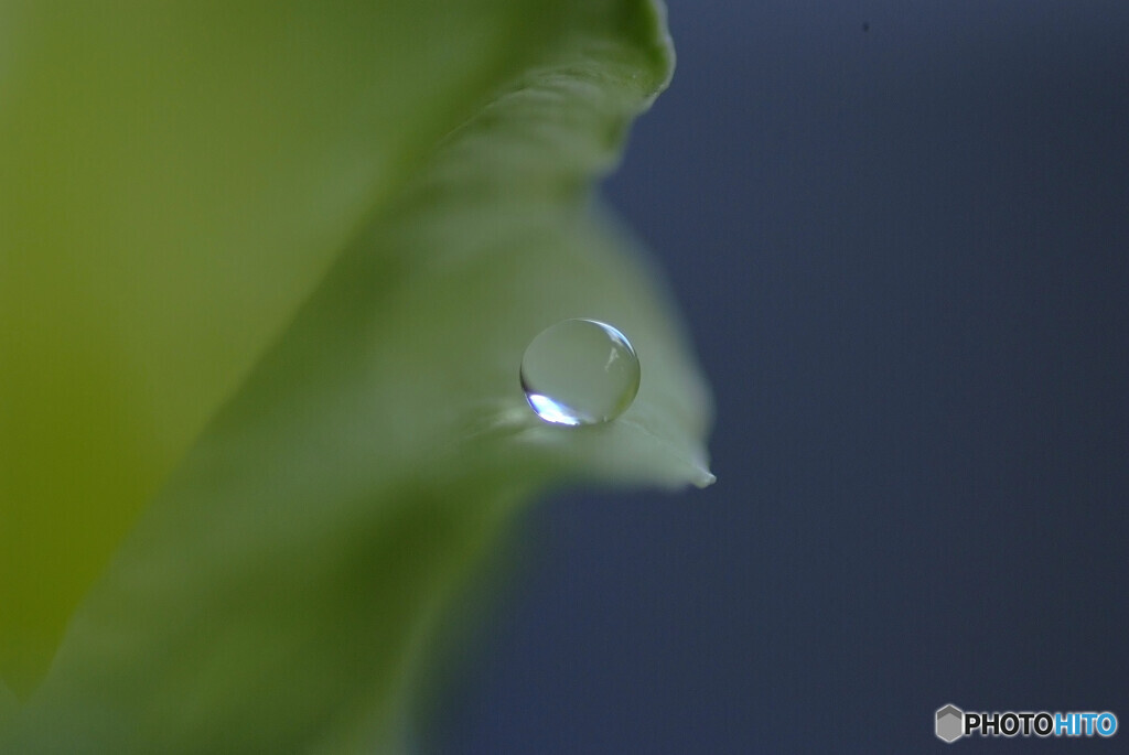 心静かに❁彩月の午後