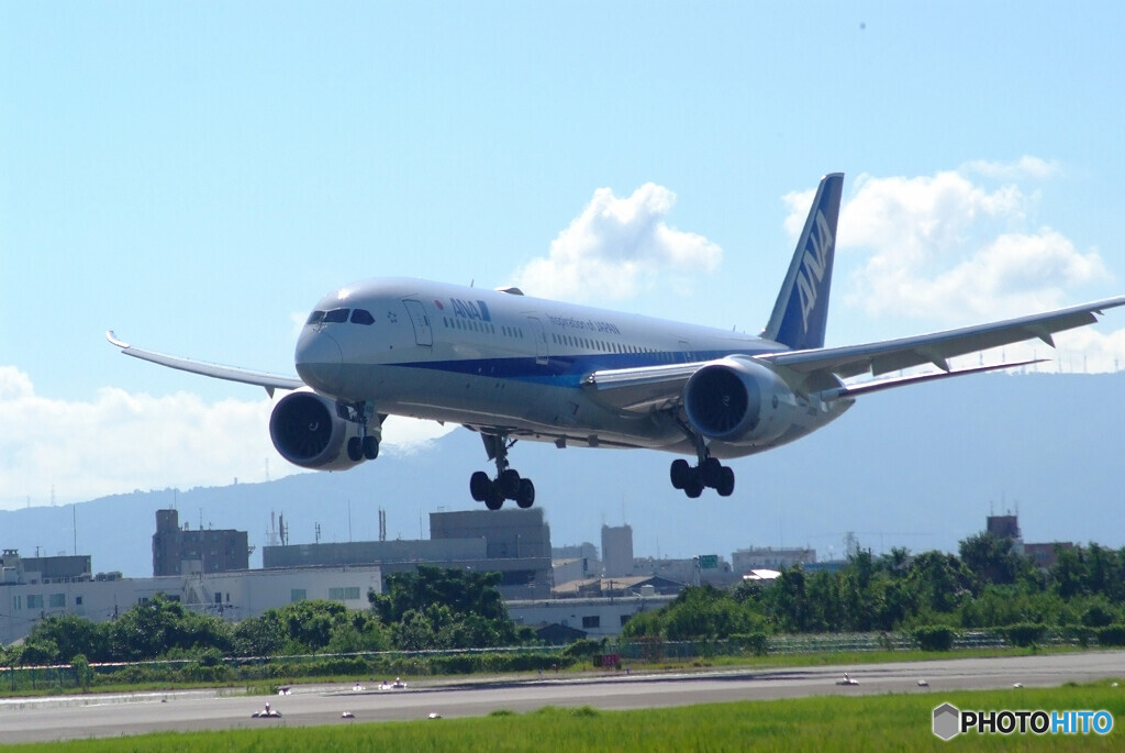 Endless SummerⅡ✈Boeing 787-9 