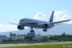 Endless SummerⅡ✈Boeing 787-9 