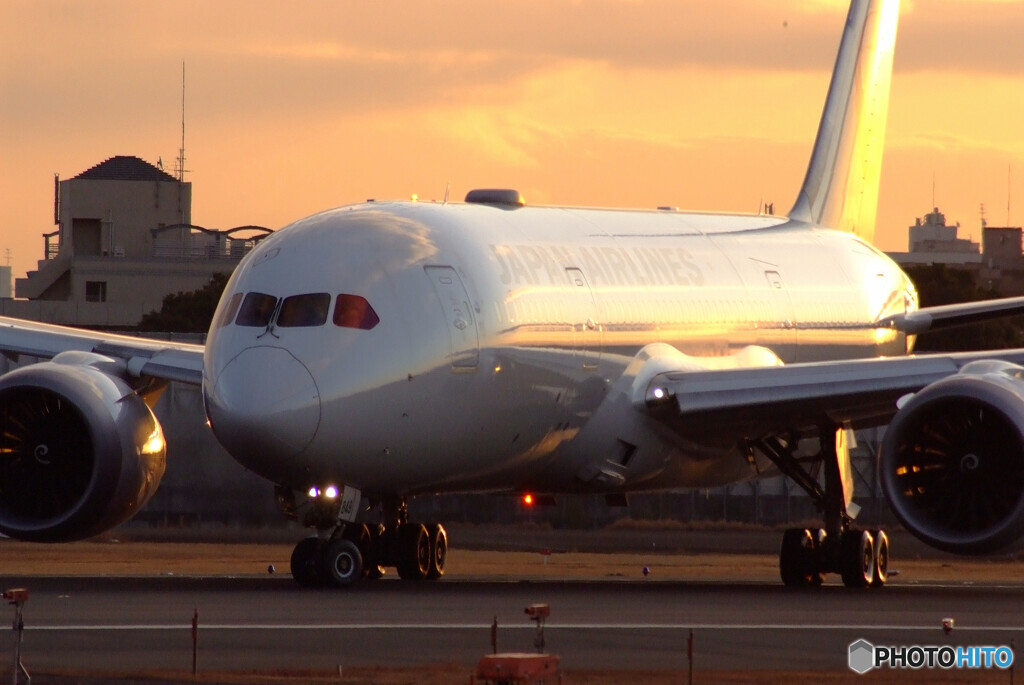 NextStage2023✈JAL Boeing 787-8