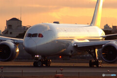 NextStage2023✈JAL Boeing 787-8