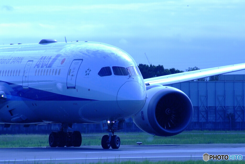 蒼の翼✈ANA Dreamliner