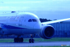 蒼の翼✈ANA Dreamliner