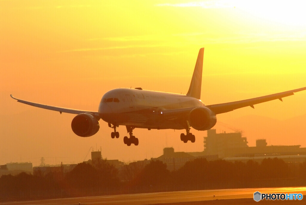 日はまた昇る✈787-8 Dreamliner