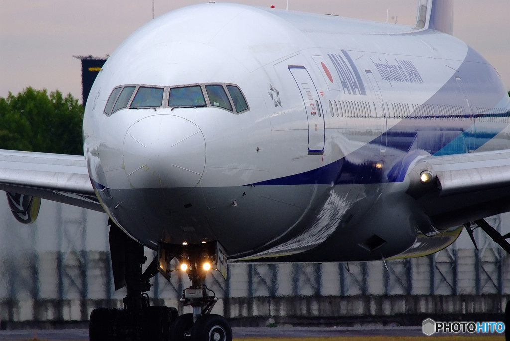 Morning StarⅥ・秋