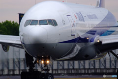 Morning StarⅥ・秋