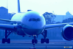 Blue Star・JA811A