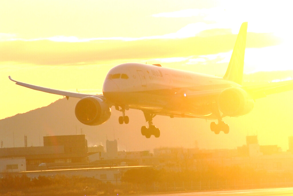 初月の輝き✈Boeing787-8