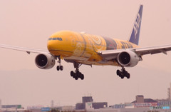 Cherry Color・TAKUAN