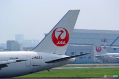 ＪＡＬ・鶴
