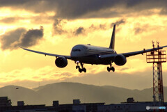 February morningⅤ★ANA Boeing 787-9
