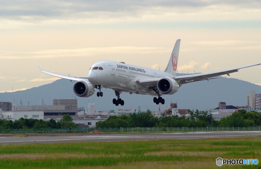 皐月の翼✈JAL Boeing787-8
