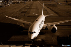 静寂の時✈787 静寂の時✈787