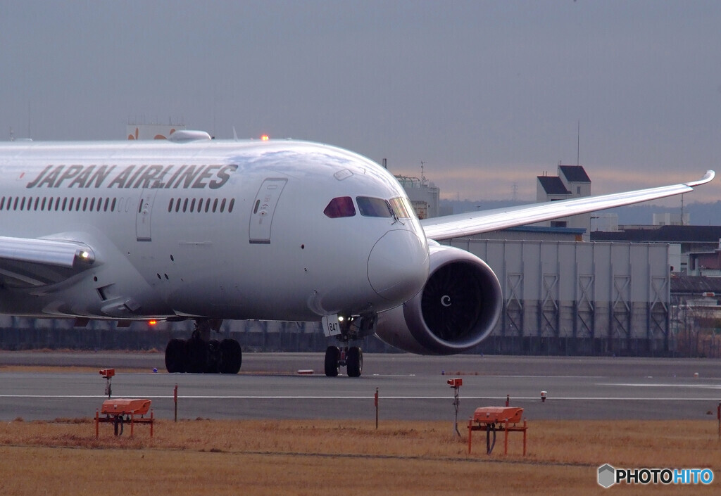 February wings・JAL