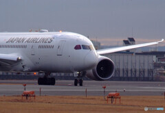 February wings・JAL