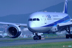 Thank you Captain✈787 