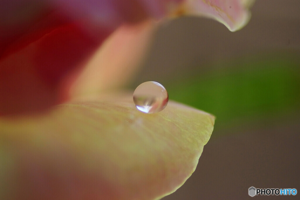 愛しい惑星✿雫