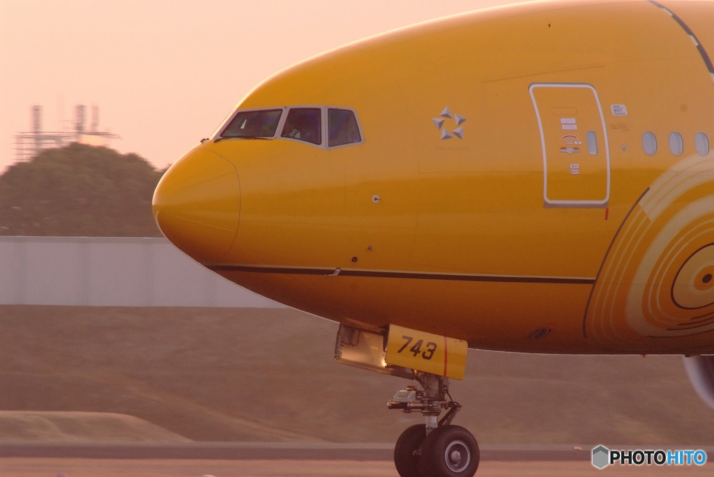 今夜も金を！C-3PO