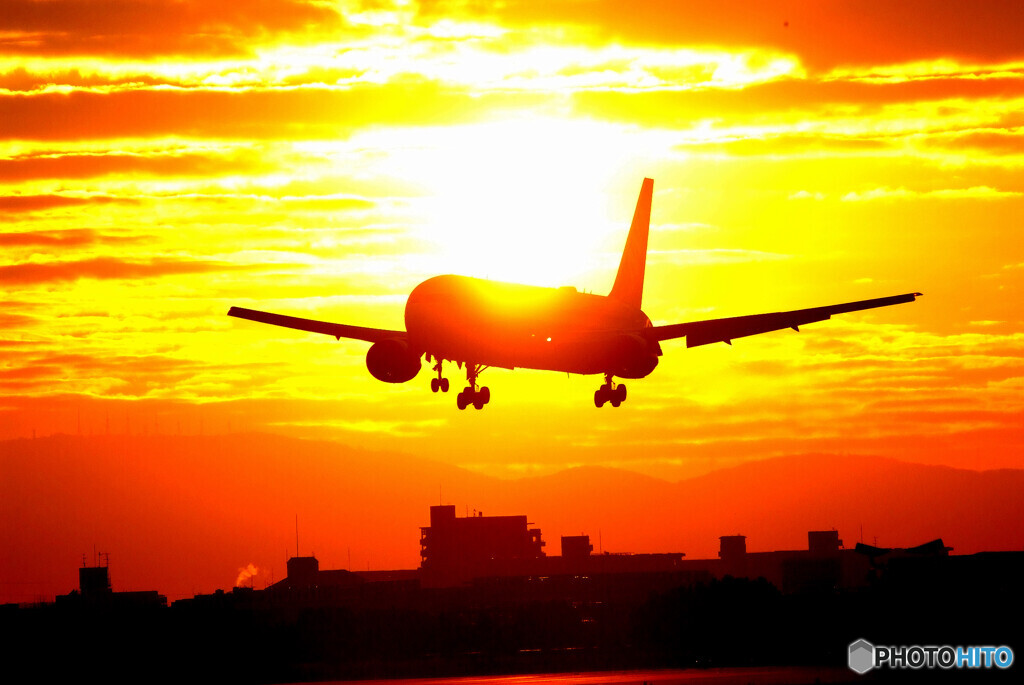 ハートに火をつけて2022✈Boeing 767