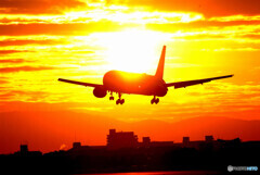 ハートに火をつけて2022✈Boeing 767
