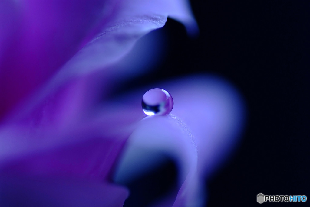 儚くも美しく・雫