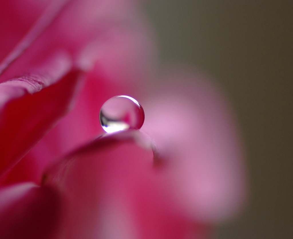 水月の雫