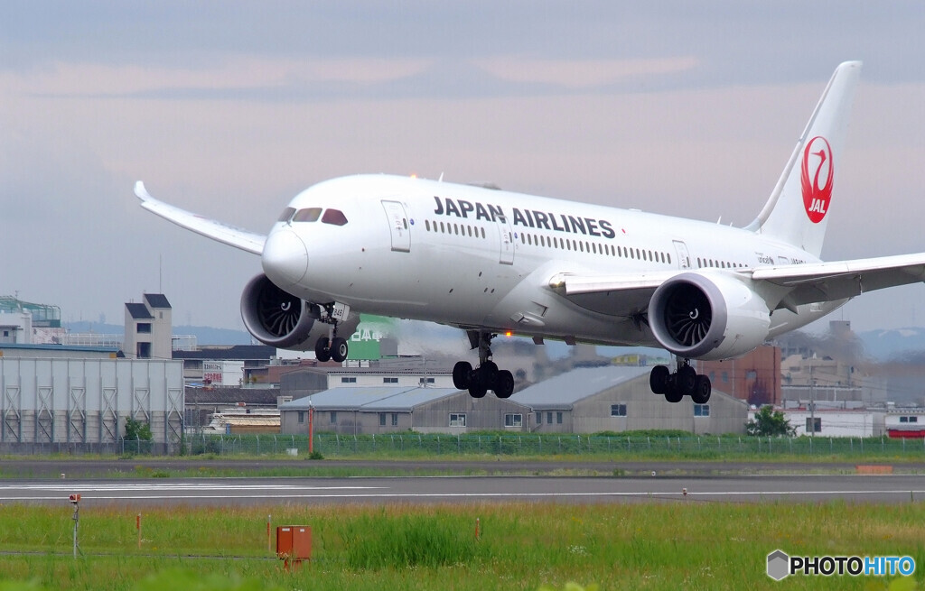 俺の午後✈Dreamliner