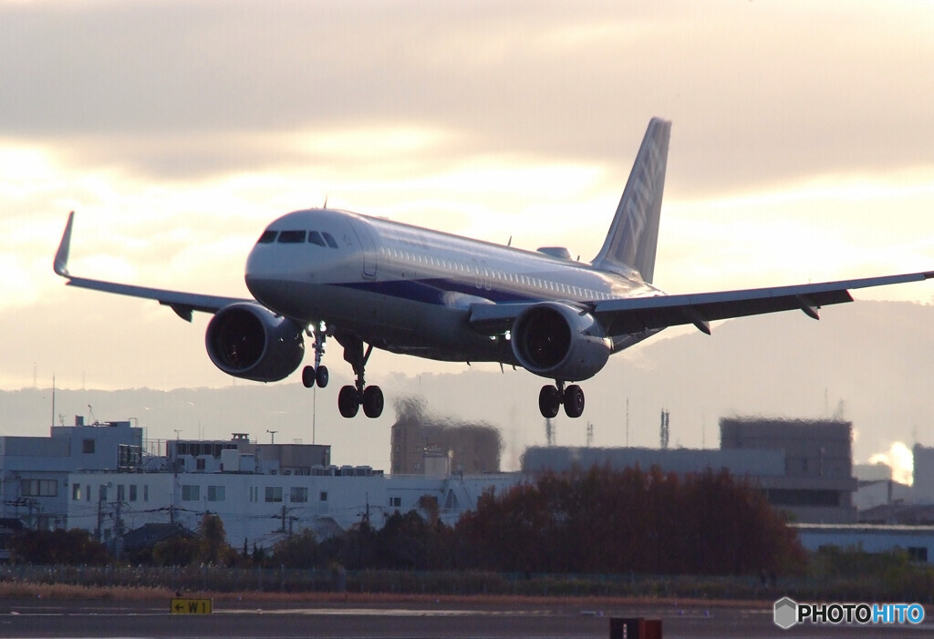 極月の朝✈NEOが来た！