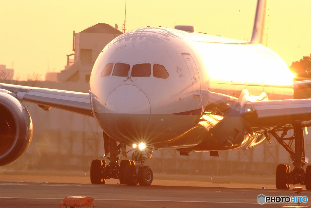 黄金の輝き・Boeing 787-9.