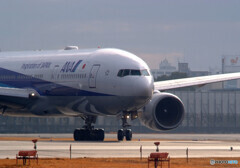 Lovely SundayⅢ✈777-300