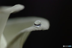 夢のつづき・雫