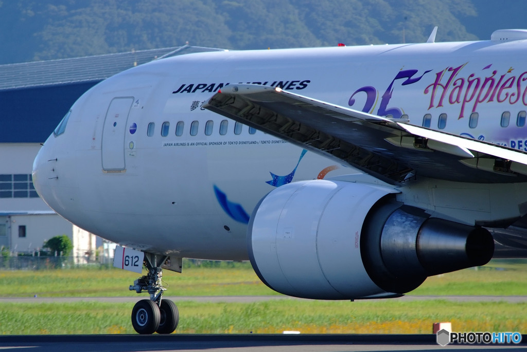 Japan Wings・767