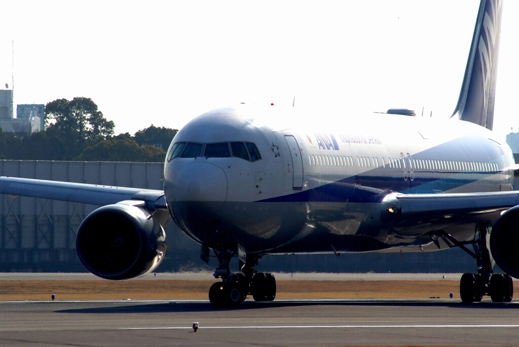 春霞の空へ✈Boeing767-300
