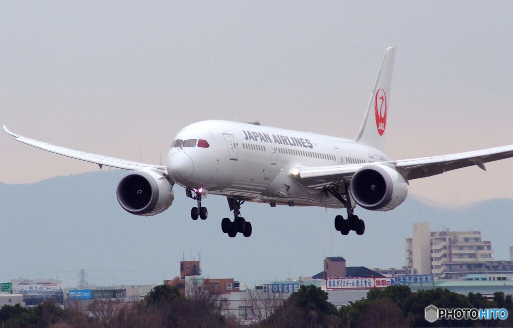Rain is Fun✈Boeing 787-8