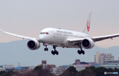 Rain is Fun✈Boeing 787-8