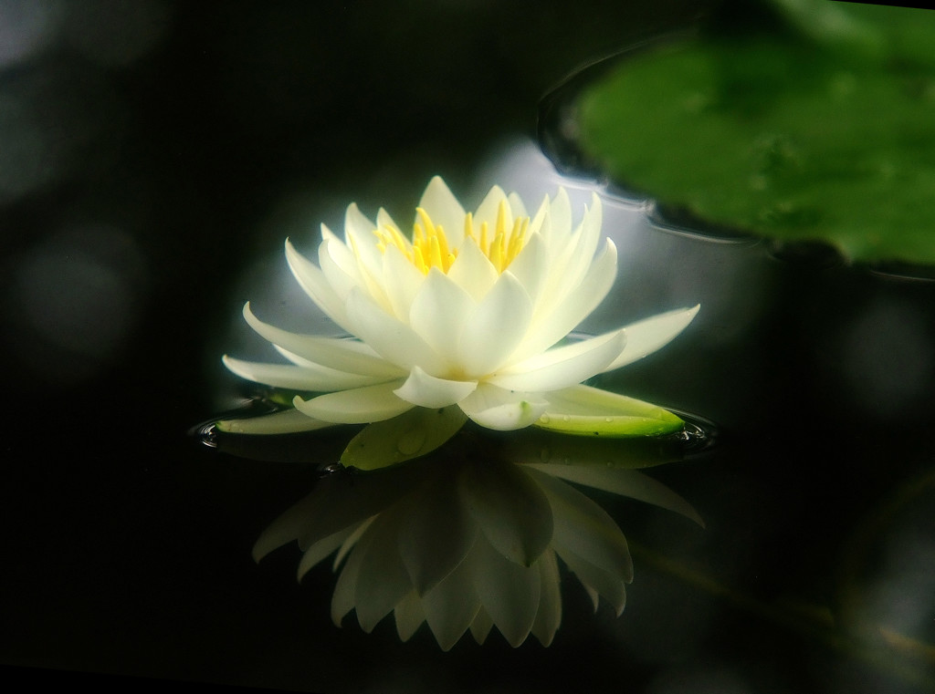 未来へ・睡