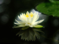 未来へ・睡
