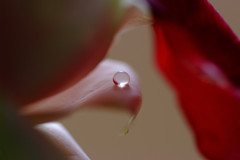 小さな物語・雫