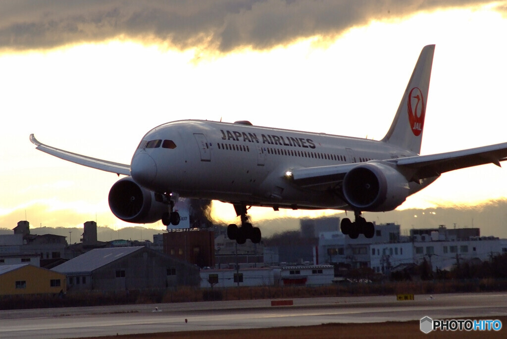 February morningⅣ★JAL Boeing 787-8