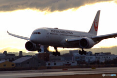 February morningⅣ★JAL Boeing 787-8