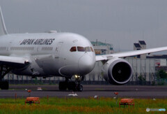 俺の旅路✈JA849J