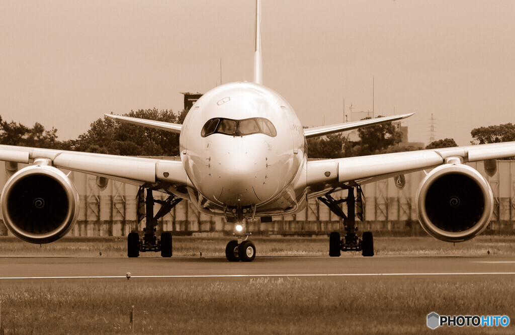 いい顔✈PANDA JET