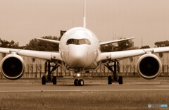 いい顔✈PANDA JET